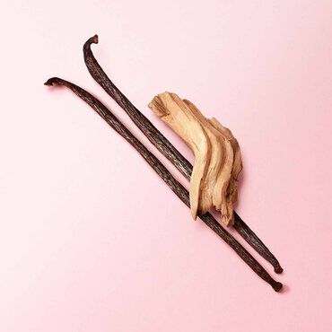 Two vanilla beans and a piece of wood are arranged on a pink background.