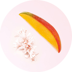 A colorful slice of mango placed beside delicate pink flowers, set against a light pink background.