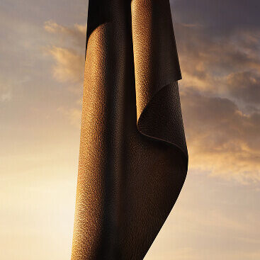 Notes de cuir boise pour Giorgio Armani I WILL Eau de Parfum. Un ingredient sombre et texture.