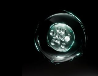 Flacon de laboratoire contenant de l'eau avec des bulles et une plante aquatique a l'interieur.