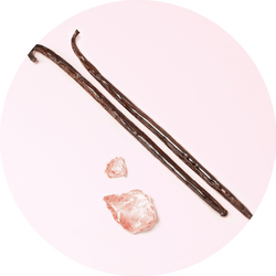 Two vanilla pods and a piece of pink rock salt arranged on a light pink background.
