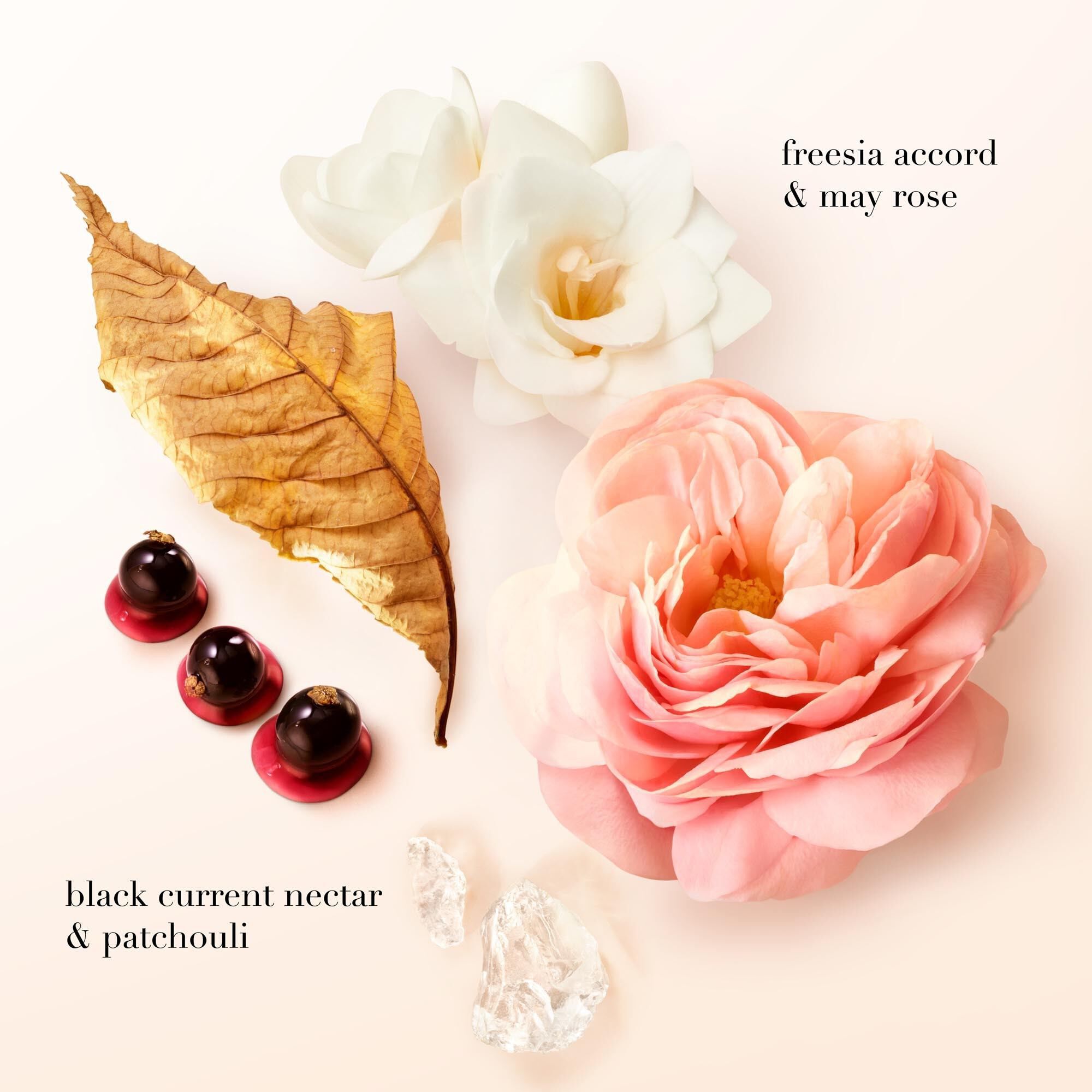 SI EAU DE PARFUM 50ML COFFRET CADEAU
