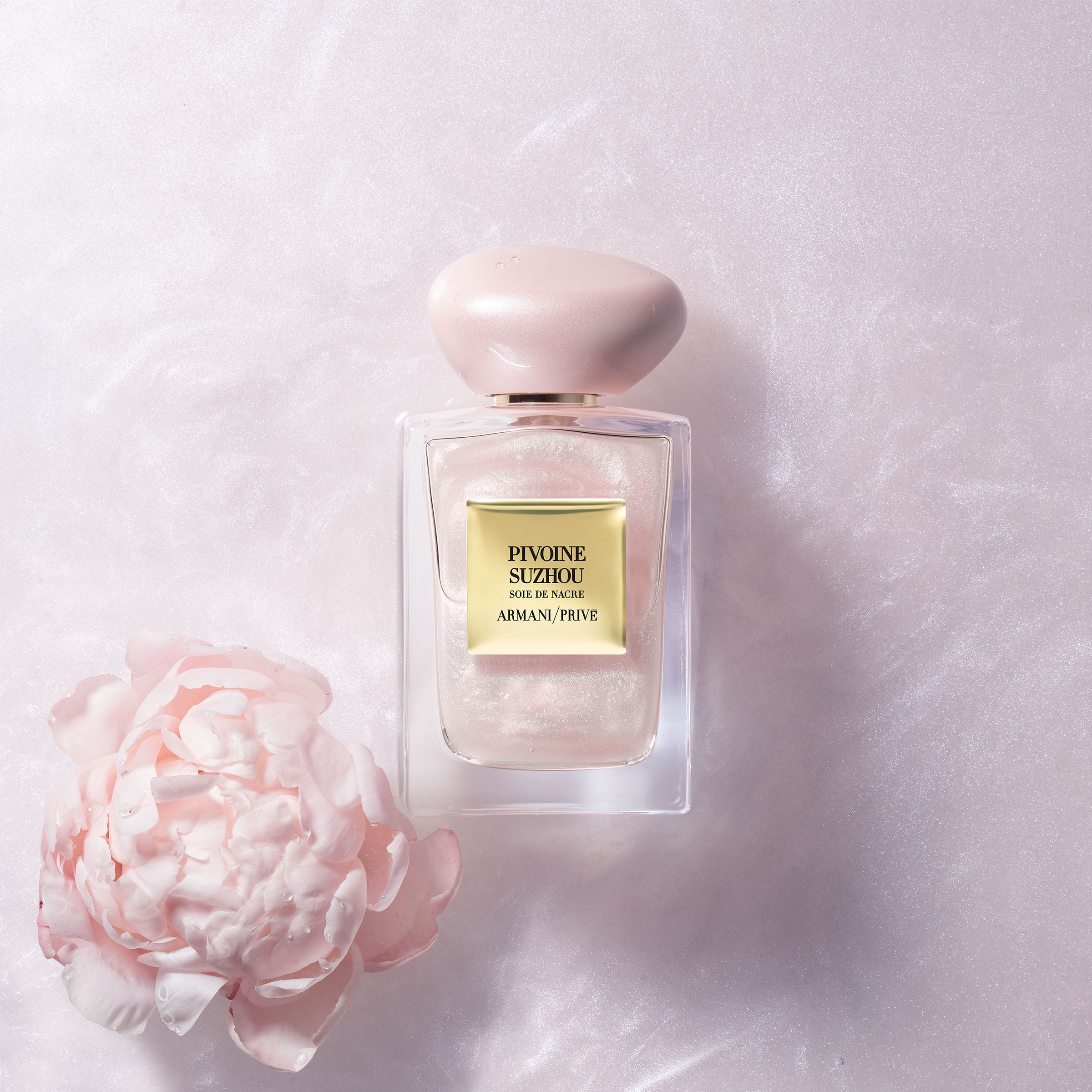 pivoine suzhou armani