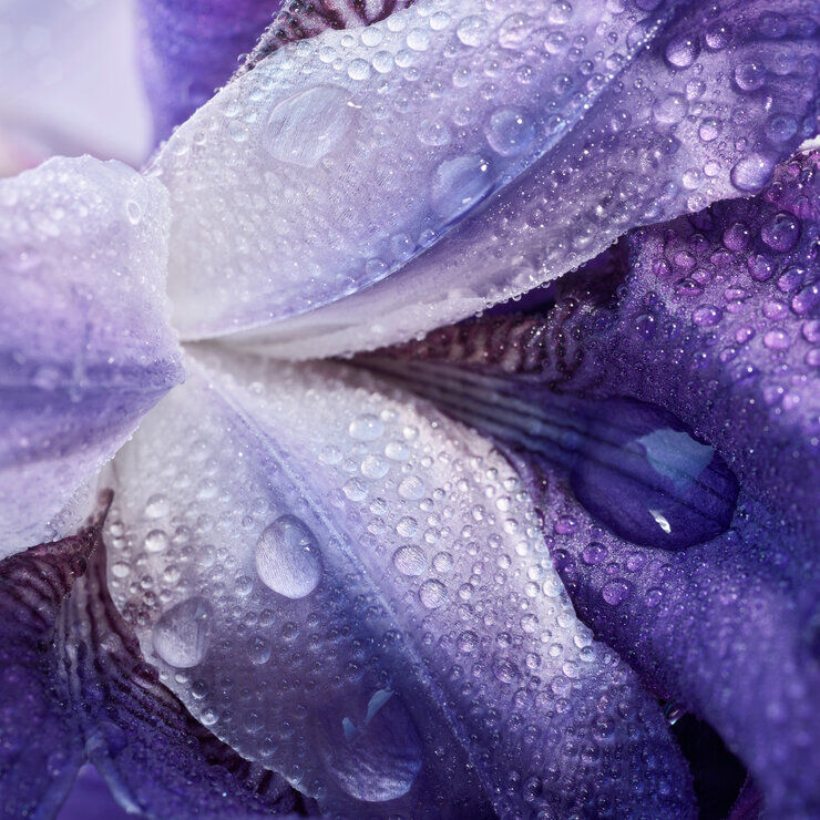 My Way Rechargeable Parfum