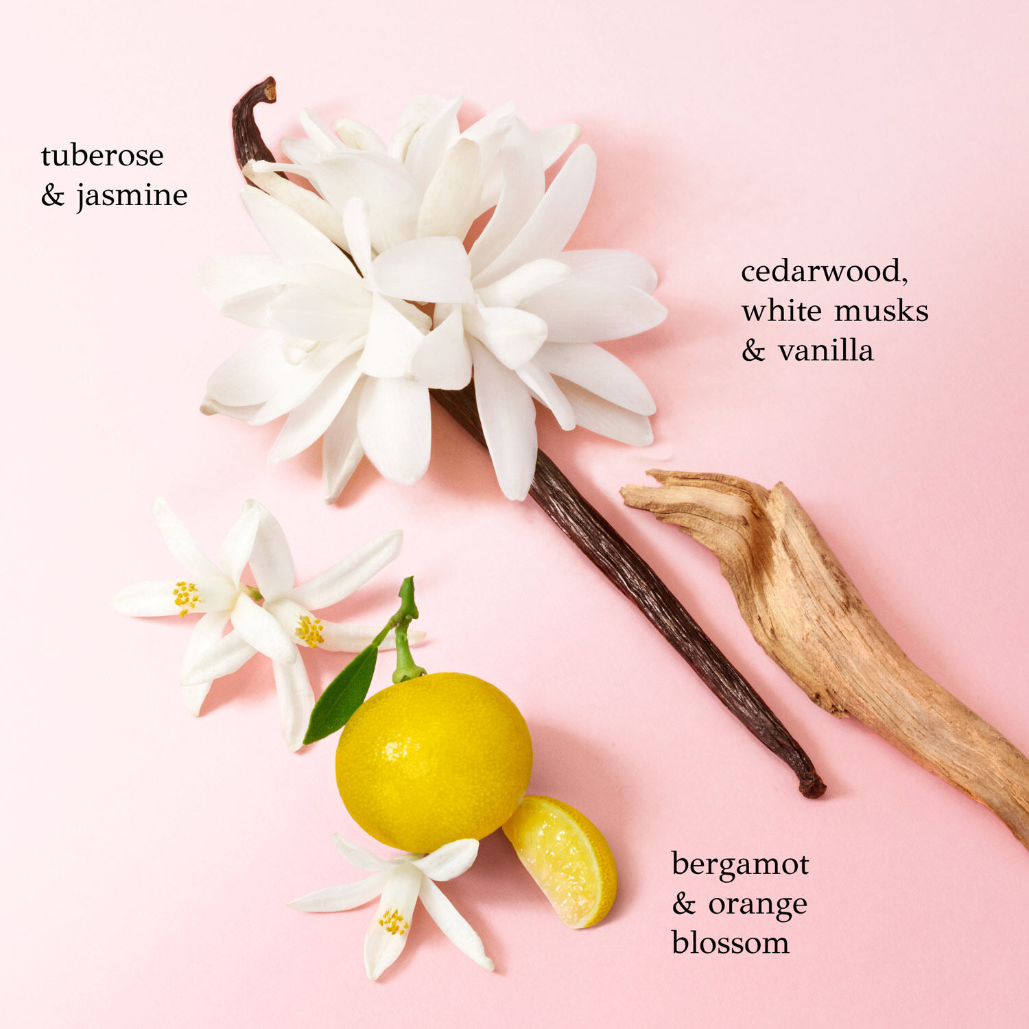 My Way Valentine's Day Duo