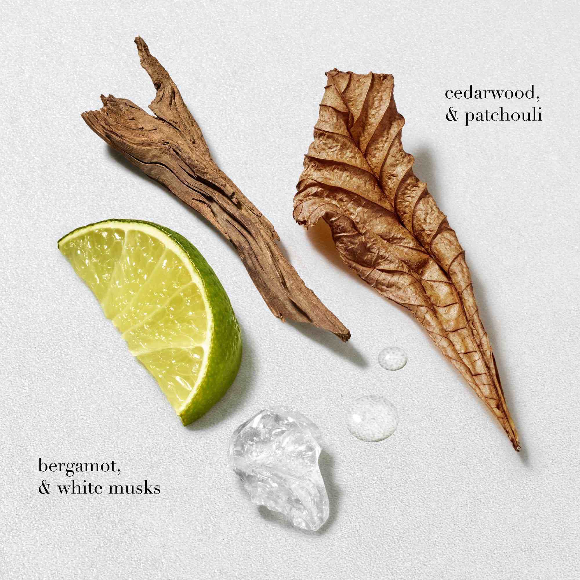 Flat lay of Acqua di Gio fragrance notes: lime, wood pieces, and ice, labeled as "bergamot & white musks" and "cedarwood & patchouli" on a white background.