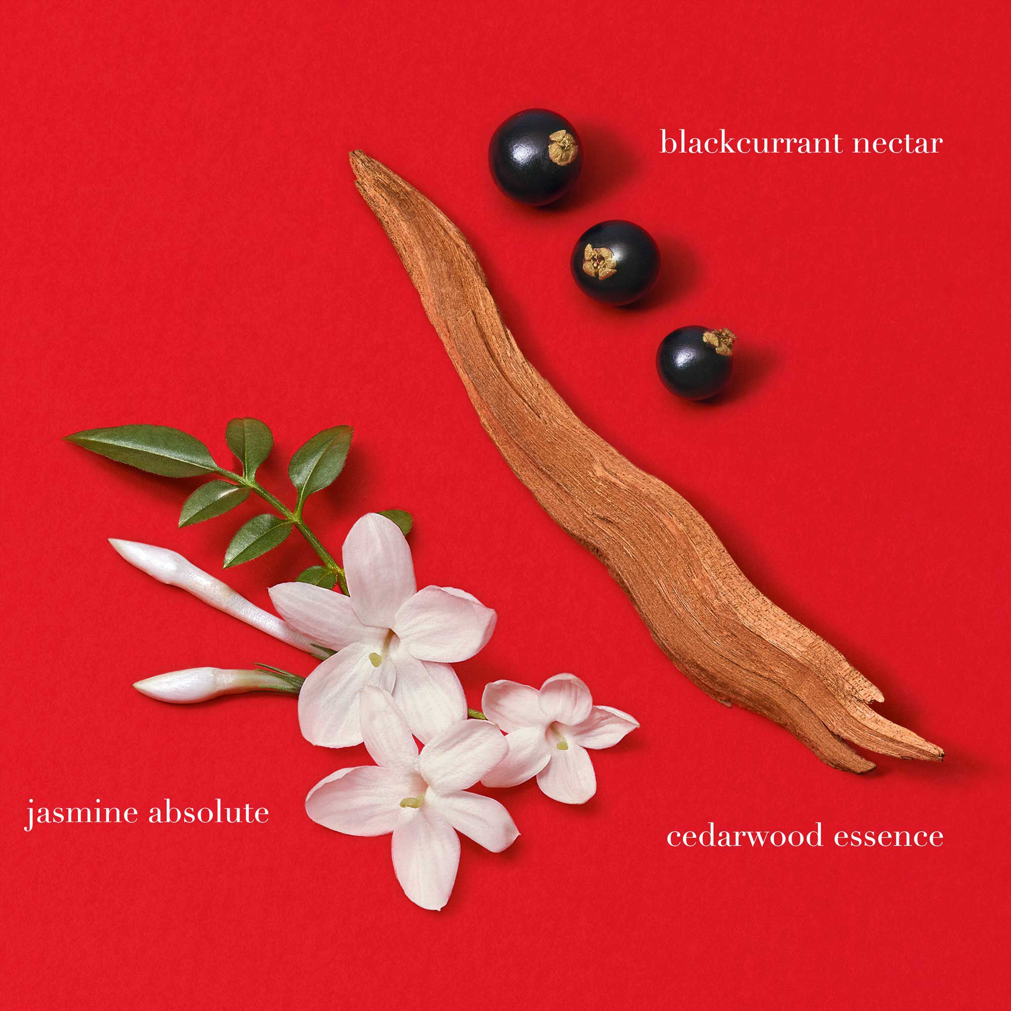 Si Passione Eau de Parfum - Rechargeable