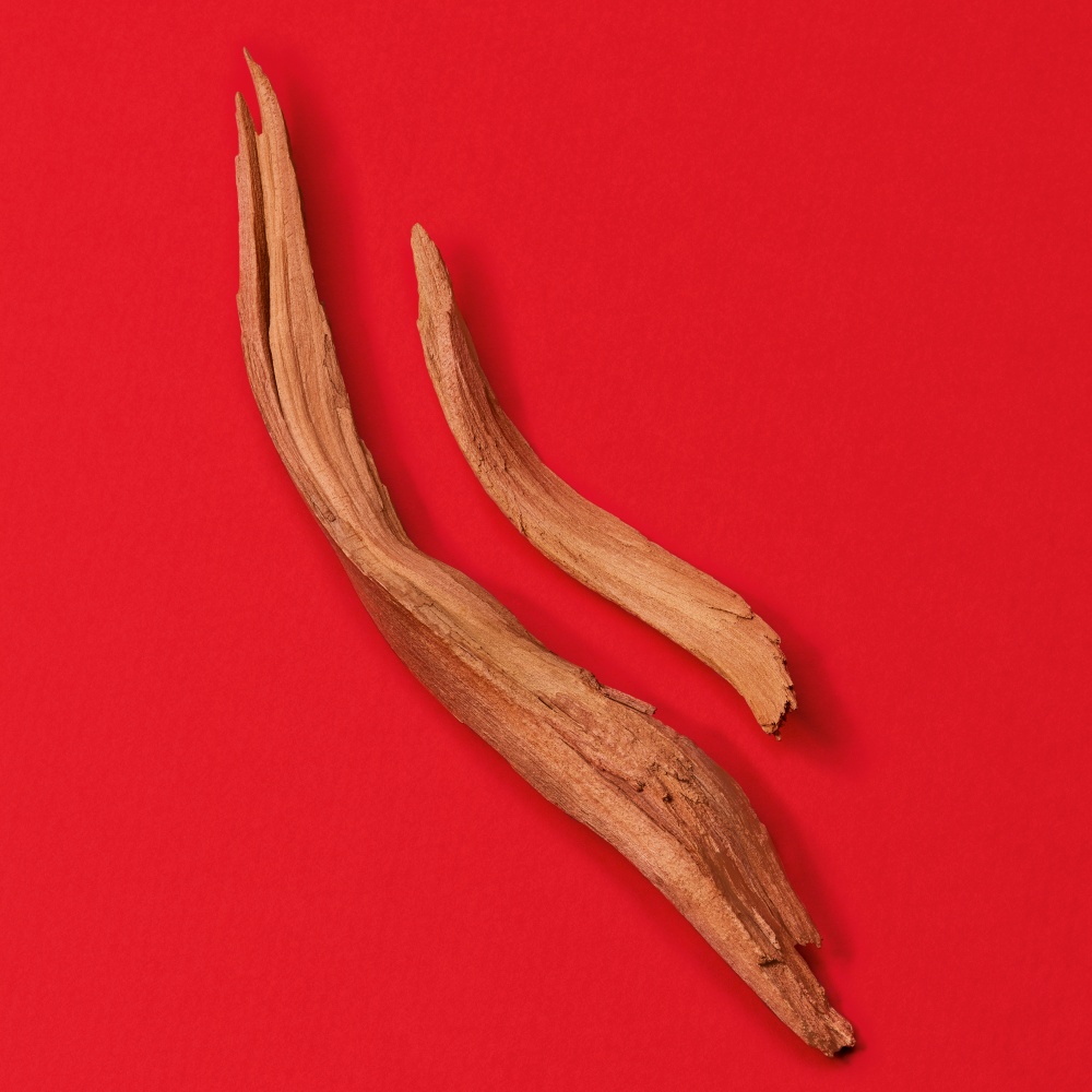 Deux morceaux de bois sculptés, posés sur un fond rouge vif, mettant en valeur leur texture naturelle.