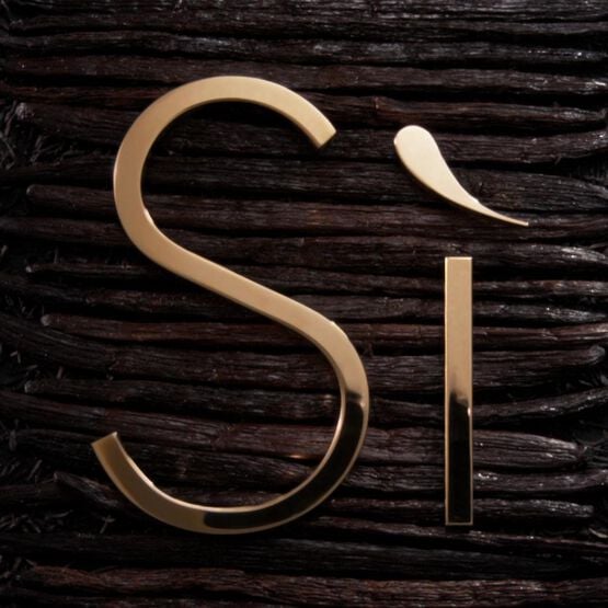 Logo doré en forme de 'Sì' sur un fond en bois texturé, évoquant élégance et sophistication.