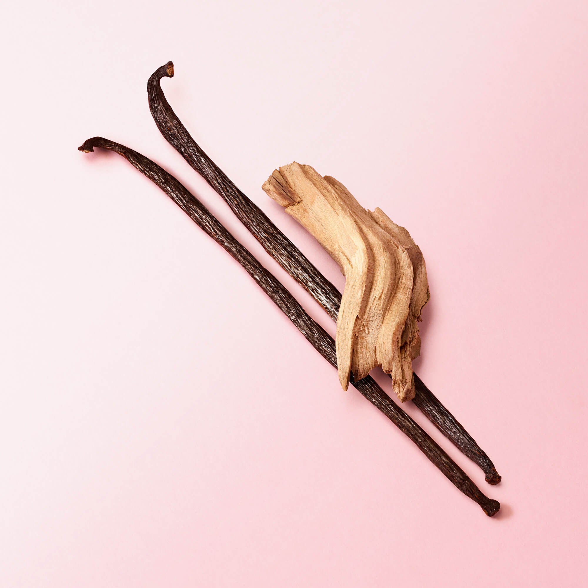 Deux gousses de vanille et un morceau de bois de santal sur un fond rose.